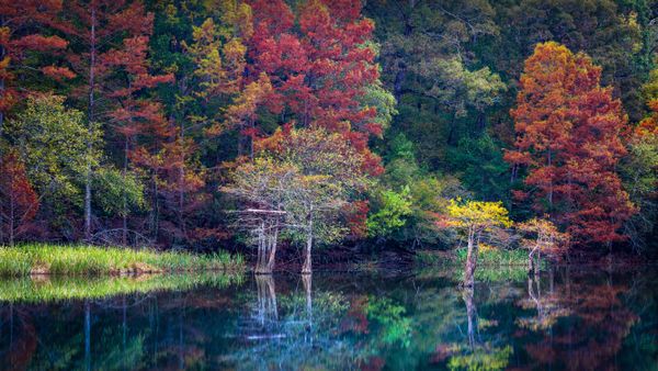 Beavers Bend Resort Park, Oklahoma, USA