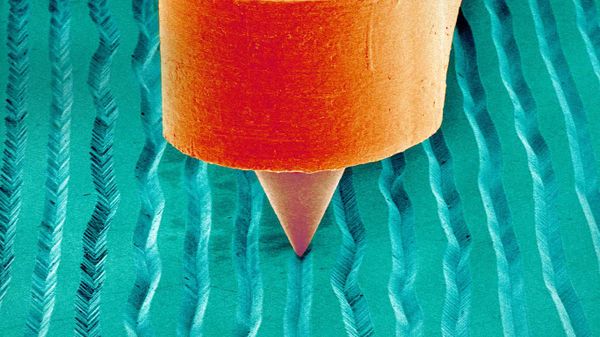 A scanning electron micrograph of a needle on a record