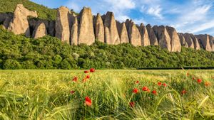 Les Pénitents des Mées, Alpes-de-Haute-Provence (© Cavalier Michel/Hemis/Alamy Stock Photo)(Bing France)