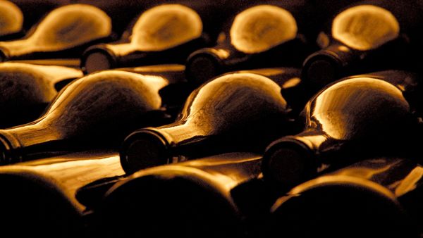 Bouteilles de vin vides dans une cave dans le Beaujolais pour le Beaujolais Nouveau