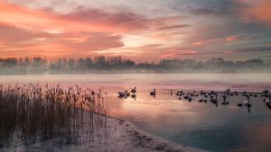 Gefrorener See bei Wintersonnenaufgang, Deutschland (© Marc_Osborne/Getty Images)(Bing Deutschland)