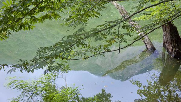 ｢鶏頭場の池｣青森, 白神山地
