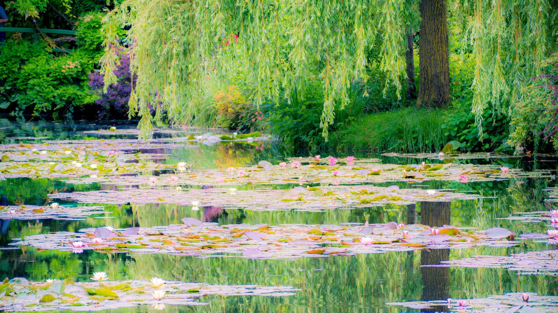 Le jardin de Monet à Giverny, France