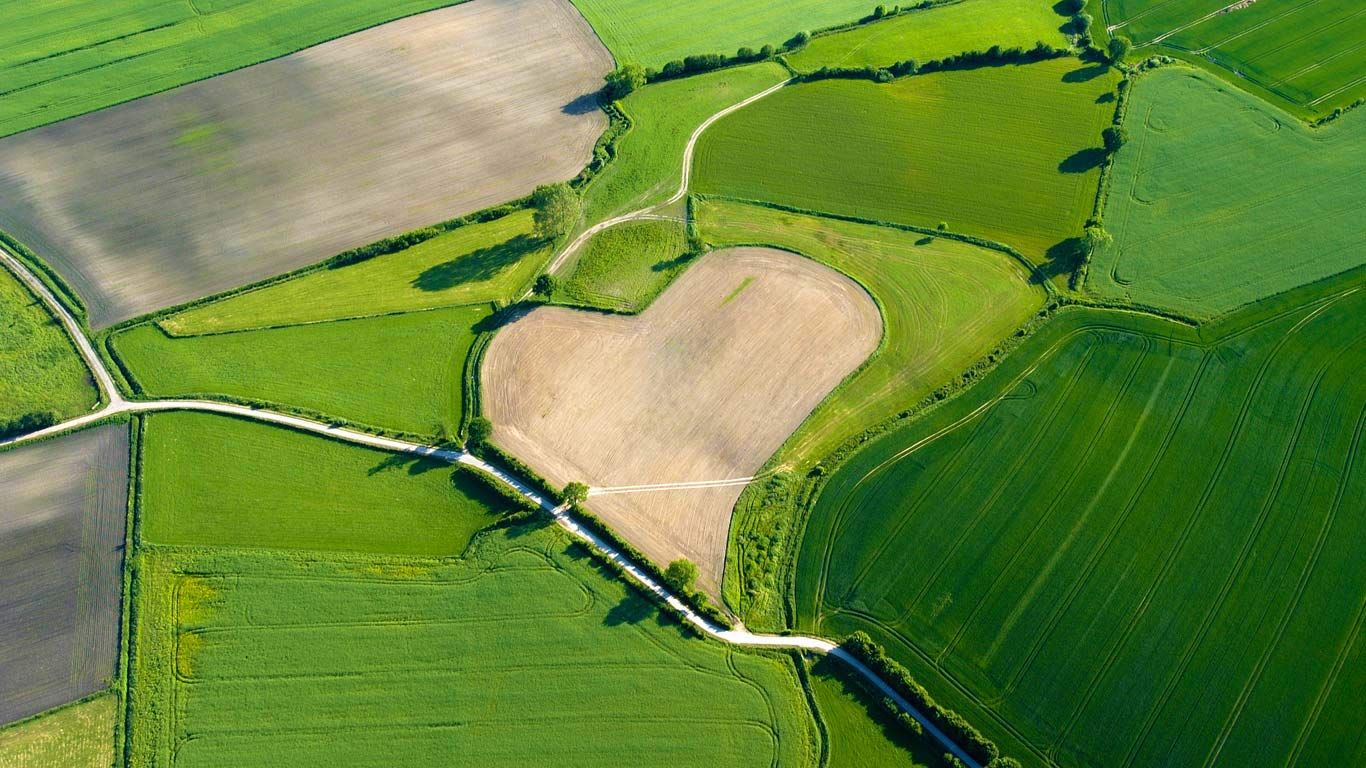 Aerial view of a heart-shaped field in Trittau, Germany