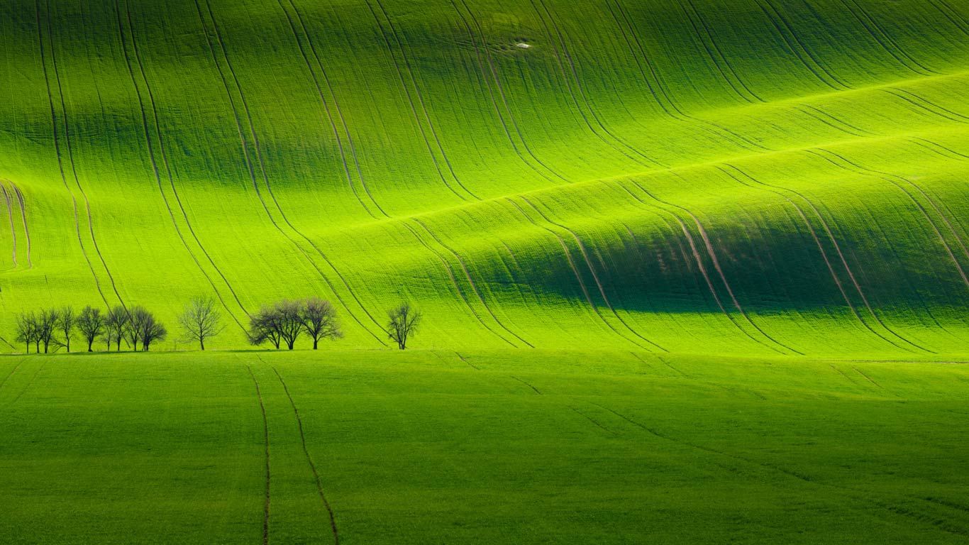 Paysage de Moravie-du-Sud près de Kyjov, République tchèque