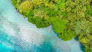 緑の森と青い海, インドネシア (© fabio lamanna/Alamy)(Bing Japan)