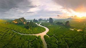 パンガー湾のマングローブ林, タイ  アンダマン海 (© Ratnakorn Piyasirisorost/Getty Images)(Bing Japan)