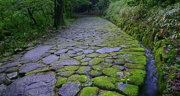 StonePath