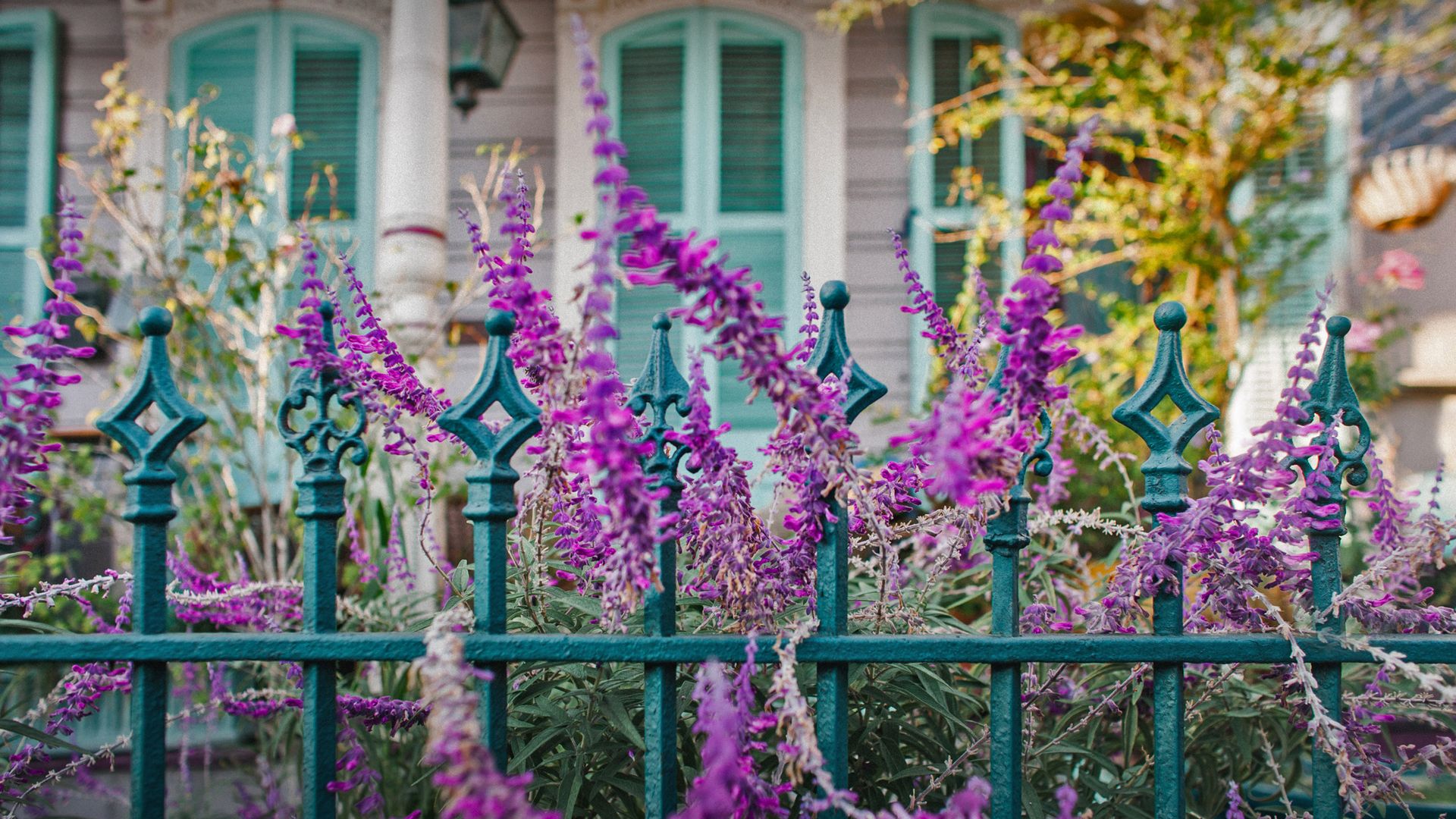 Flowers and an ironwork fence in front of a house in New Orleans, Louisiana