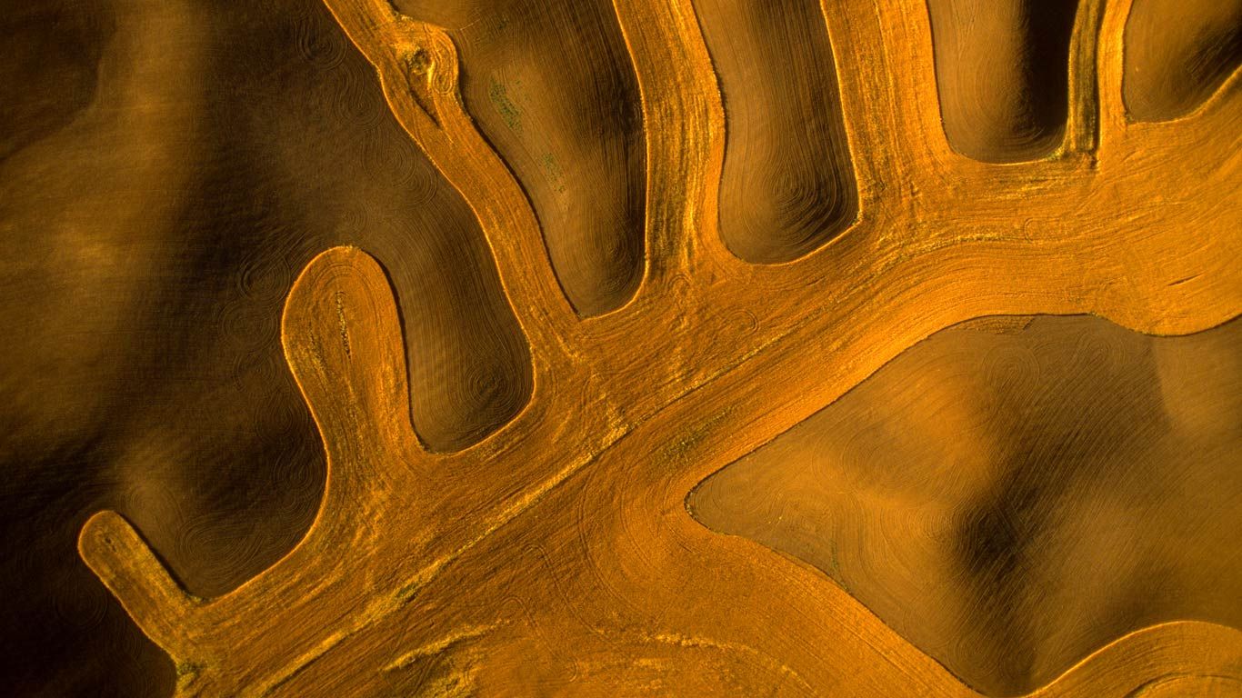 Aerial of contour farming in the Palouse, Washington
