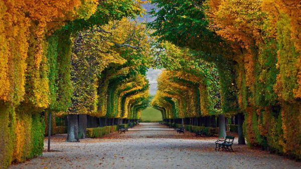 Schönbrunn Palace gardens in Vienna, Austria