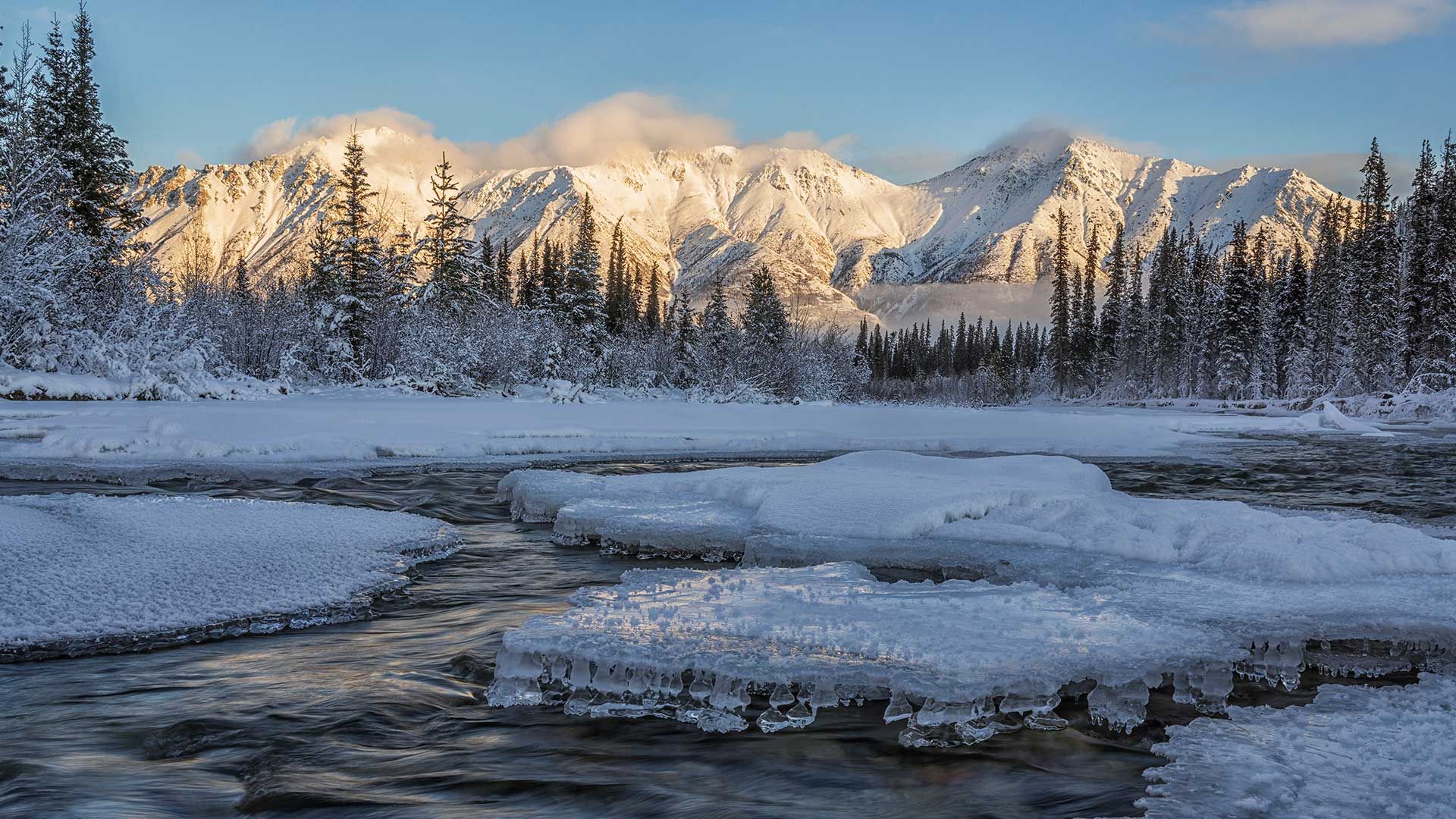 Wheaton River near Whitehorse, Yukon, Canada