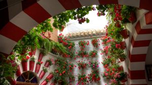 Festival de los Patios Cordobeses, Andalucía (© DIEGO GUTIERREZ/Getty Images)(Bing España)