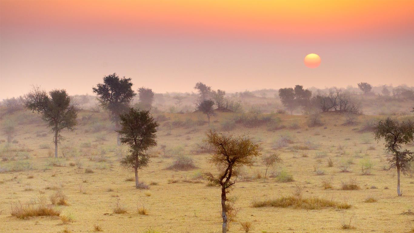 Thar Desert near Jaisalmer, Rajasthan, India