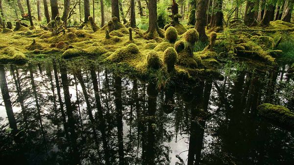 Nailoon Park, Queen Charlotte Islands, British Columbia