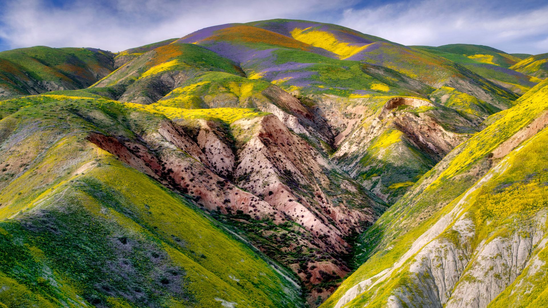 Carrizo Plain National Monument, California, USA