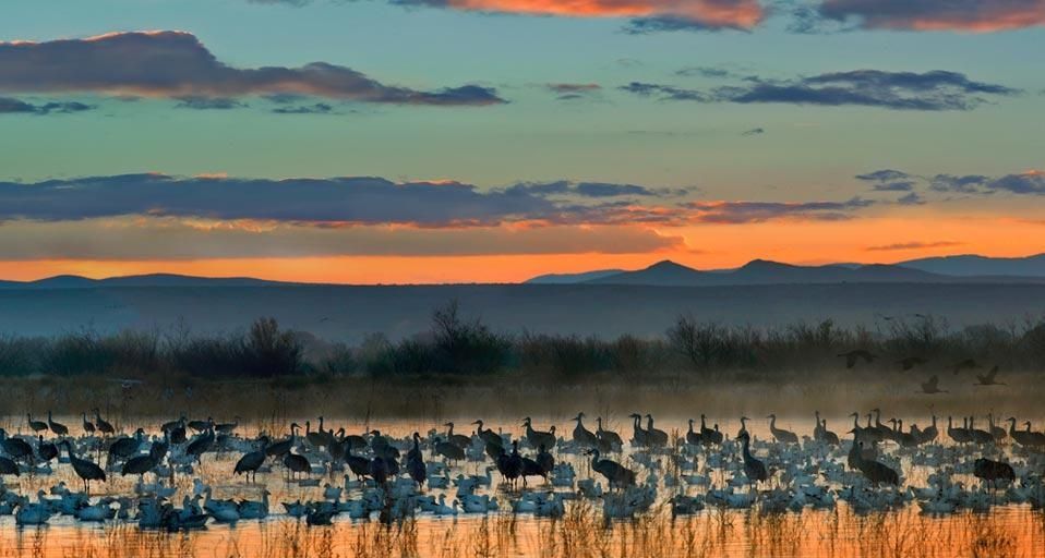 BosquedelApache