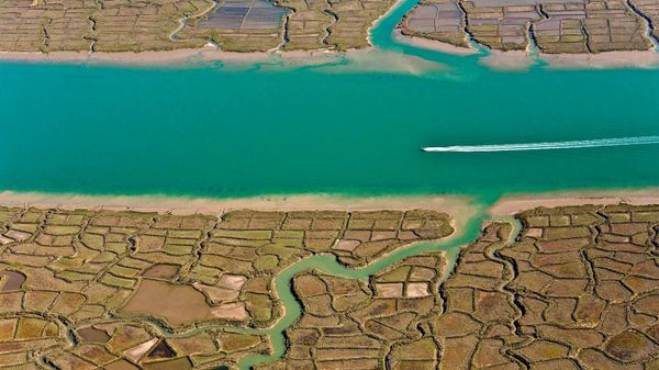 Seudre River in the Charente-Maritime department of France