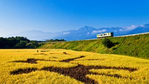 ｢秋の小海線｣山梨県, 北杜市 (© Masanori Yamanashi/SIME/eStock Photo)(Bing Japan)