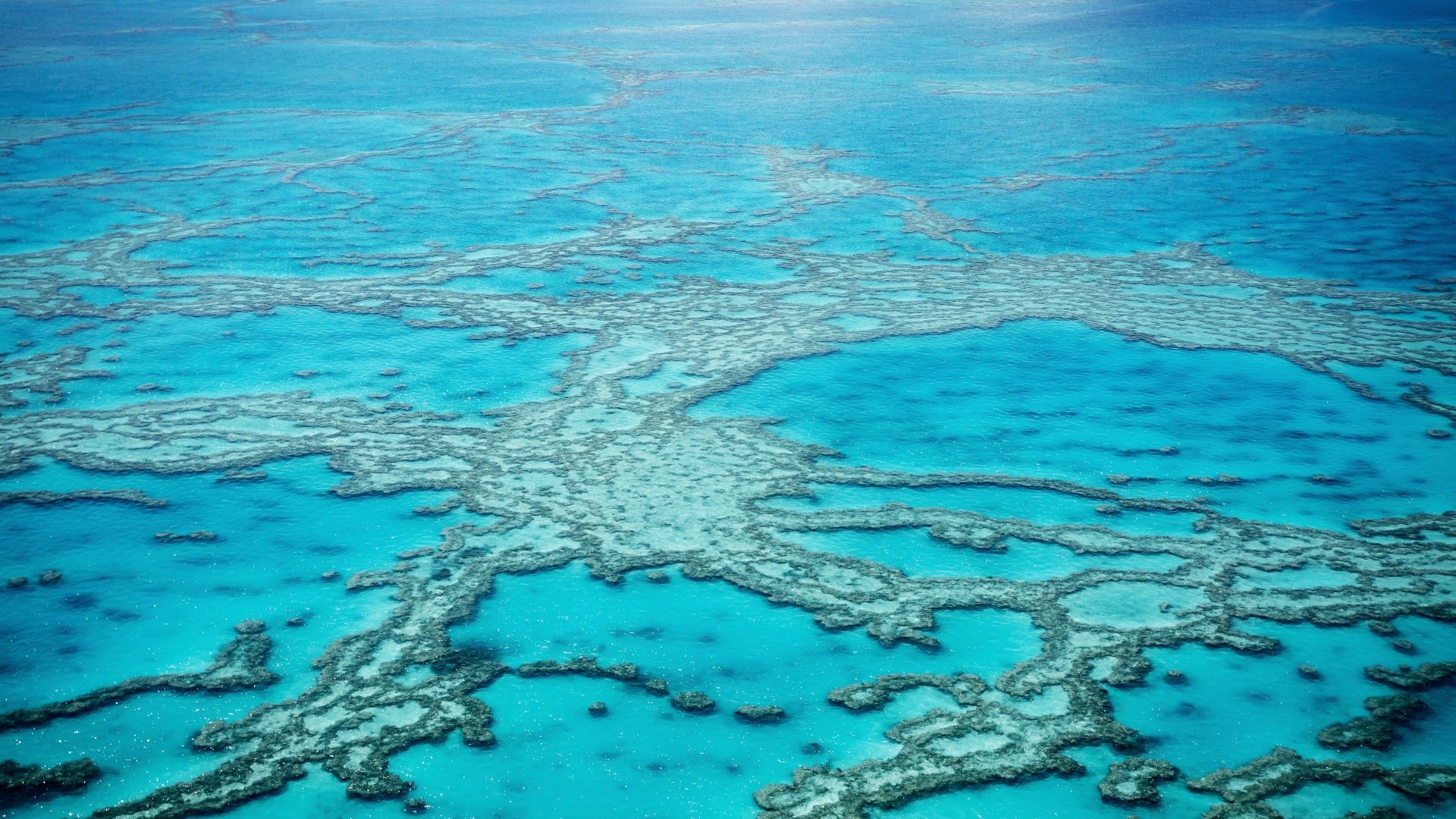 Great Barrier Reef from above, Queensland, Australia