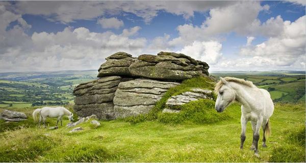 TenTors