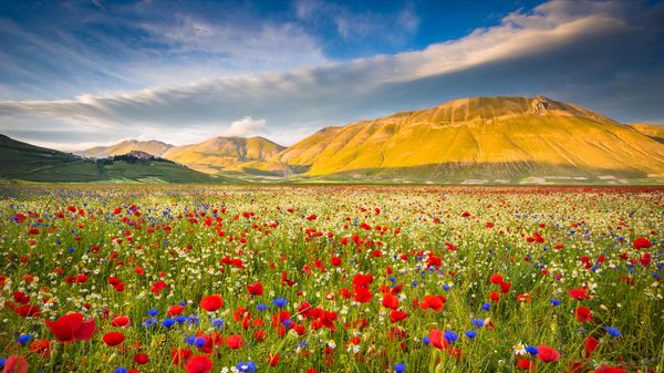 Castelluccio, Parco nazionale dei Monti Sibillini, Italia