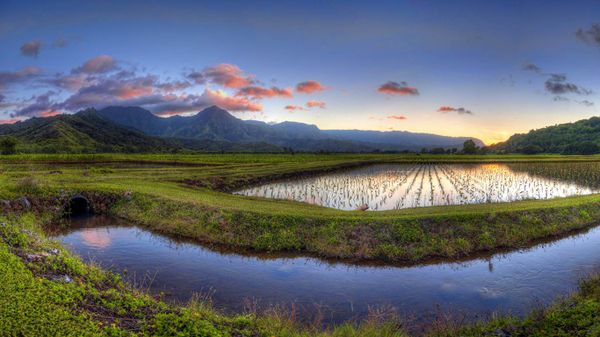 Hanalei Valley, Kauai, Hawaii, USA