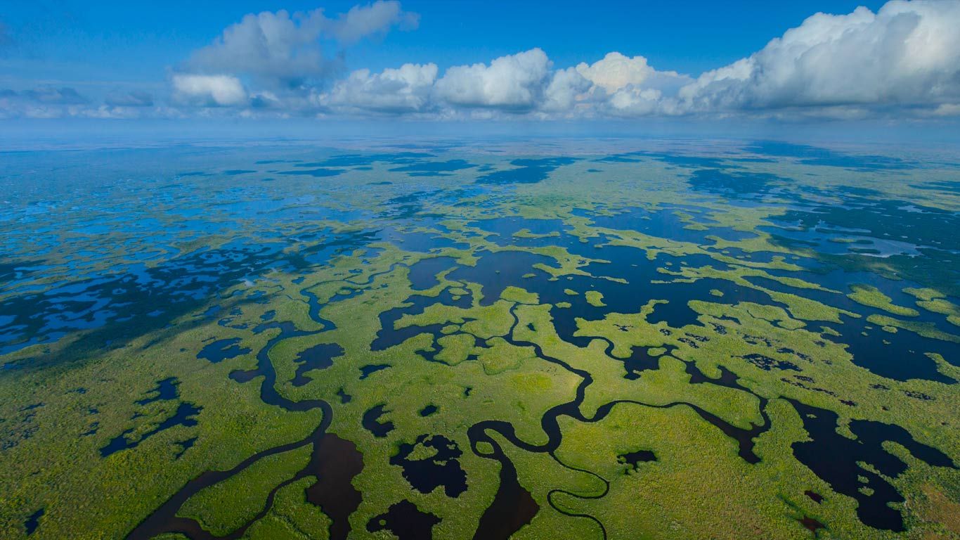 Aerial view of Everglades National Park in Florida