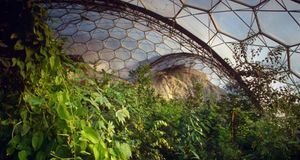 Sub-Tropical Biosphere Dome at the Eden Project, Cornwall, England -- Harpur Garden Library/Corbis &copy; (Bing United Kingdom)