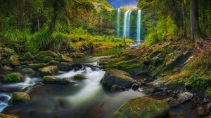 旺阿雷自然保护区里的旺阿雷瀑布，新西兰北岛 (© Nathan Kavumbura/Getty Images)(Bing China)
