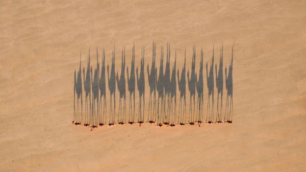 Caravane dans le désert, Broome, Australie-Occidentale