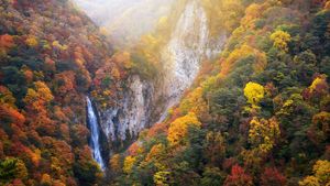 志賀高原の澗満滝, 長野県 (© Twenty47studio/Getty Images)(Bing Japan)