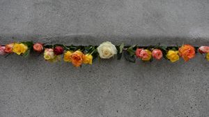 Rosen in einem Mauerspalt zum Gedenken an den Jahrestag des Falls der Berliner Mauer, Berlin (© Artur Widak/Shutterstock)(Bing Deutschland)
