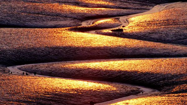 Mud flats, Saint John, Bay of Fundy, New Brunswick