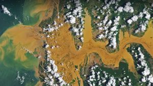 Image satellite de la rivière Mania à Madagascar (© NASA Earth Observatory image by Joshua Stevens, using Landsat data from the US Geological Survey)(Bing France)