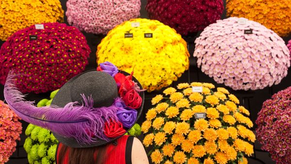 A woman with a floral hat at the RHS Chelsea Flower Show 2014