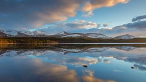 Loch Morlich, Cairngorms National Park, Scotland (© Arterra/Universal Images Group/Getty Images)(Bing United Kingdom)