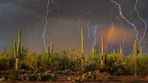 La foudre s’abat sur les contreforts des montagnes Tortolita, au nord de Tucson dans le désert de Sonora, Arizona, États-Unis (© Jack Dykinga/Minden Pictures)(Bing France)