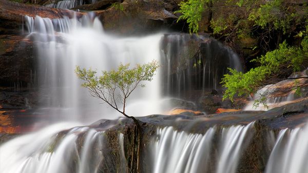 Wenthworth Falls in the Blue Mountains, New South Wales
