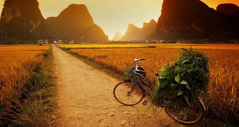 BicycleResting