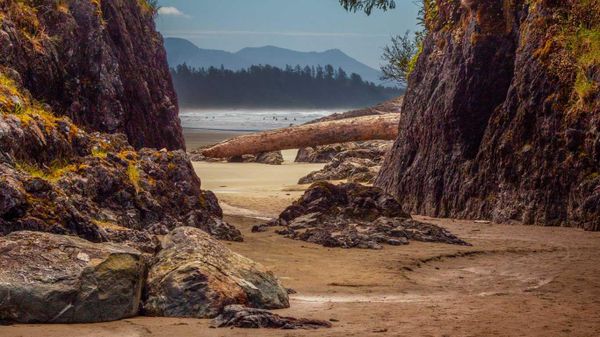 View of coastline at Pacific Rim National Park, Tofino, Canada
