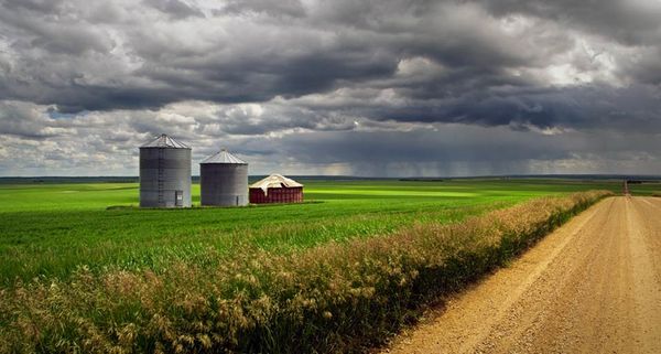 A country road with fields and granaries and an approaching rain storm in Oyen, Alberta, Canada
