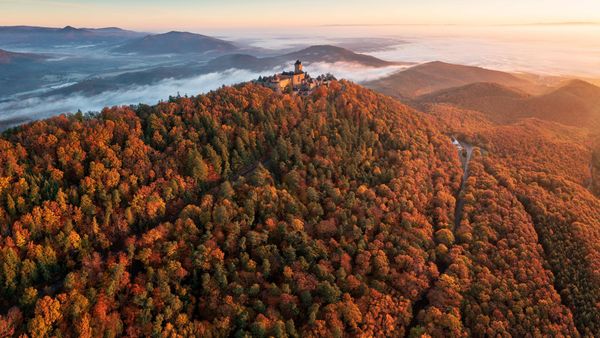 Château du Haut-Koenigsbourg au lever du soleil, à Orschwiller, Alsace, Grand Est