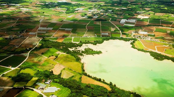 ｢サトウキビ畑｣沖縄県, 宮古島
