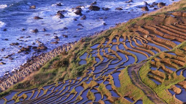 ｢白米千枚田｣石川, 輪島