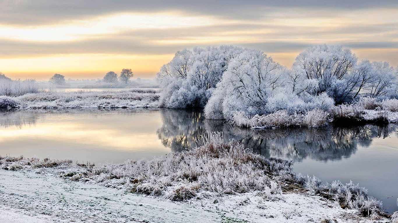 Von Raureif überzogene Elbe-Landschaft, Hamburg-Kirchwerder, Deutschland