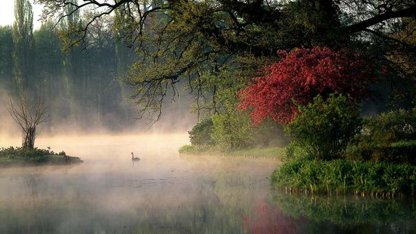 Wörlitzer Park, Wörlitz, Germany