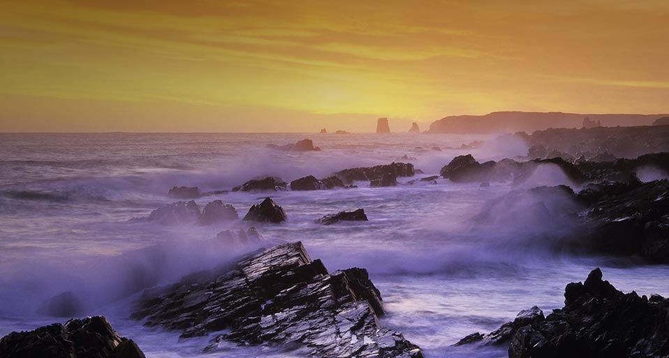 Rocky Shoreline, Newfoundland, Canada