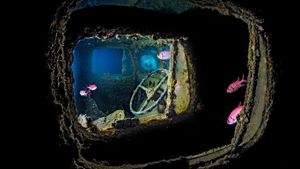 在红海，沉船蓝蓟花号的残骸 (© Alex Mustard/Minden Pictures)(Bing China)