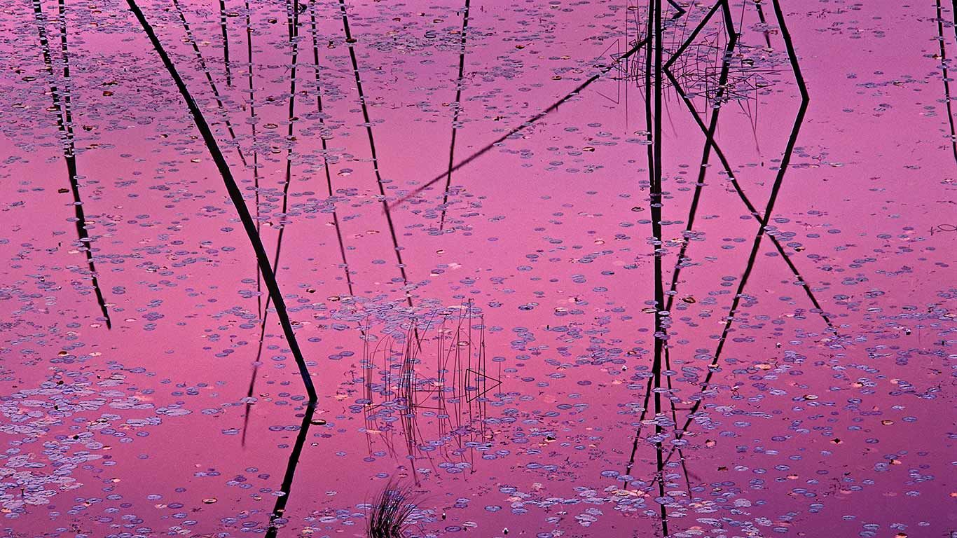 Sunset near Ely, Minnesota
